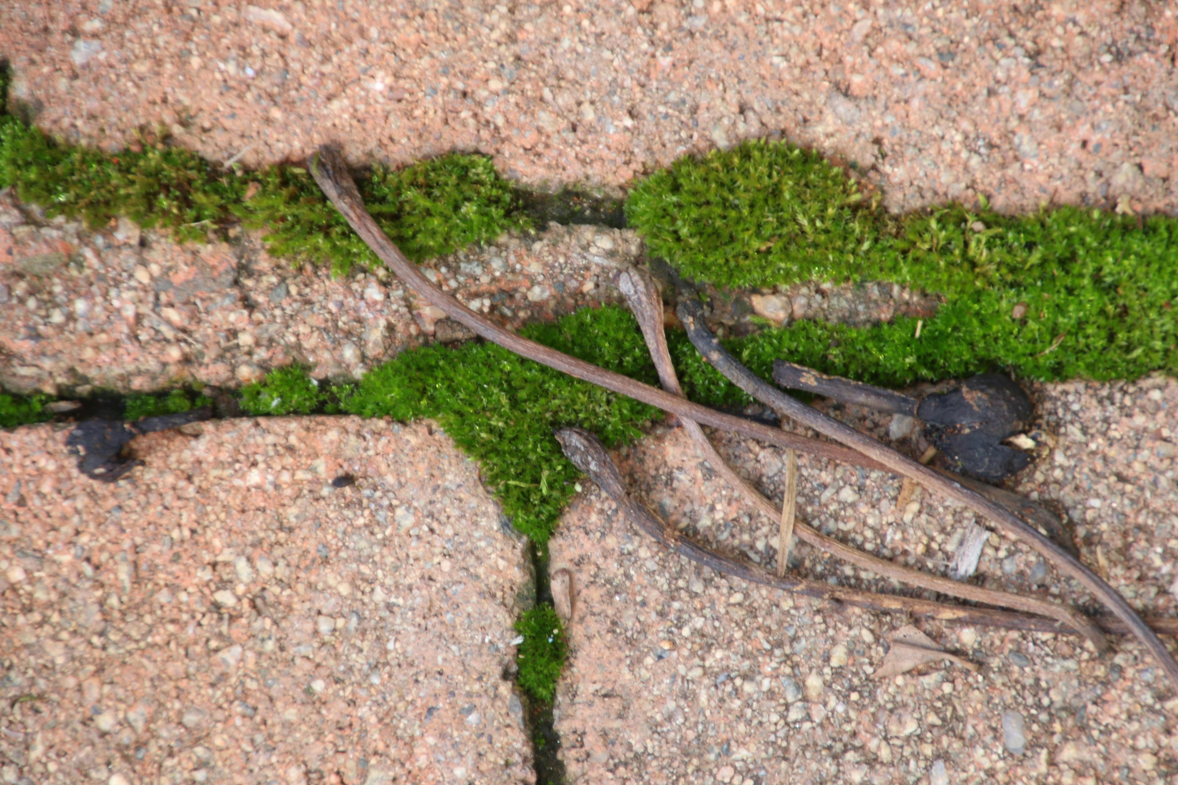 Professional businessman with flight case ready for travel at airport