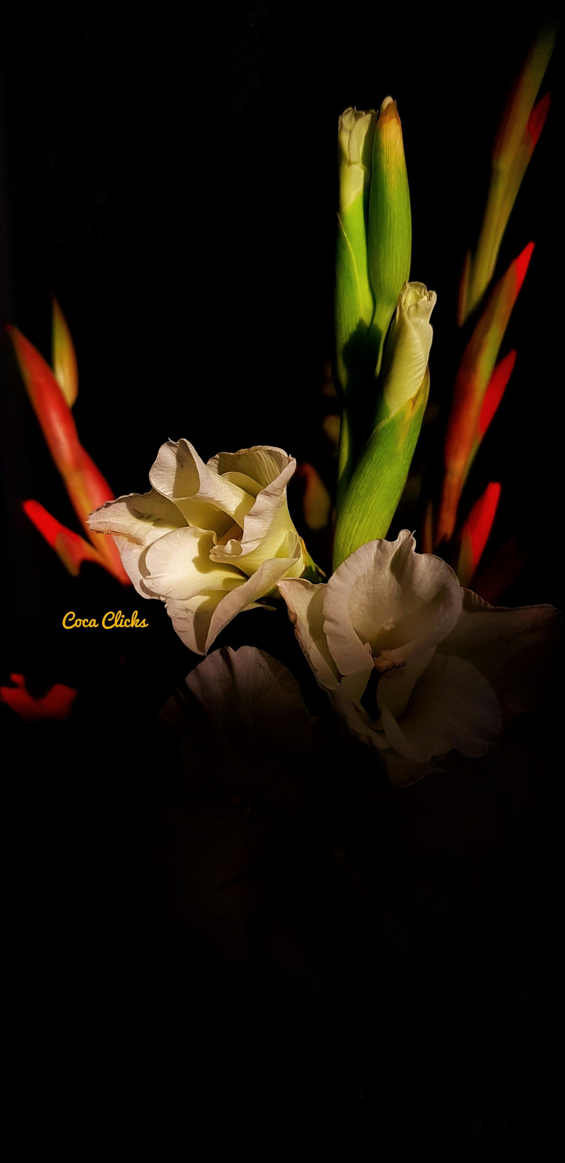 Carpenter working with wood in workshop creating custom furniture