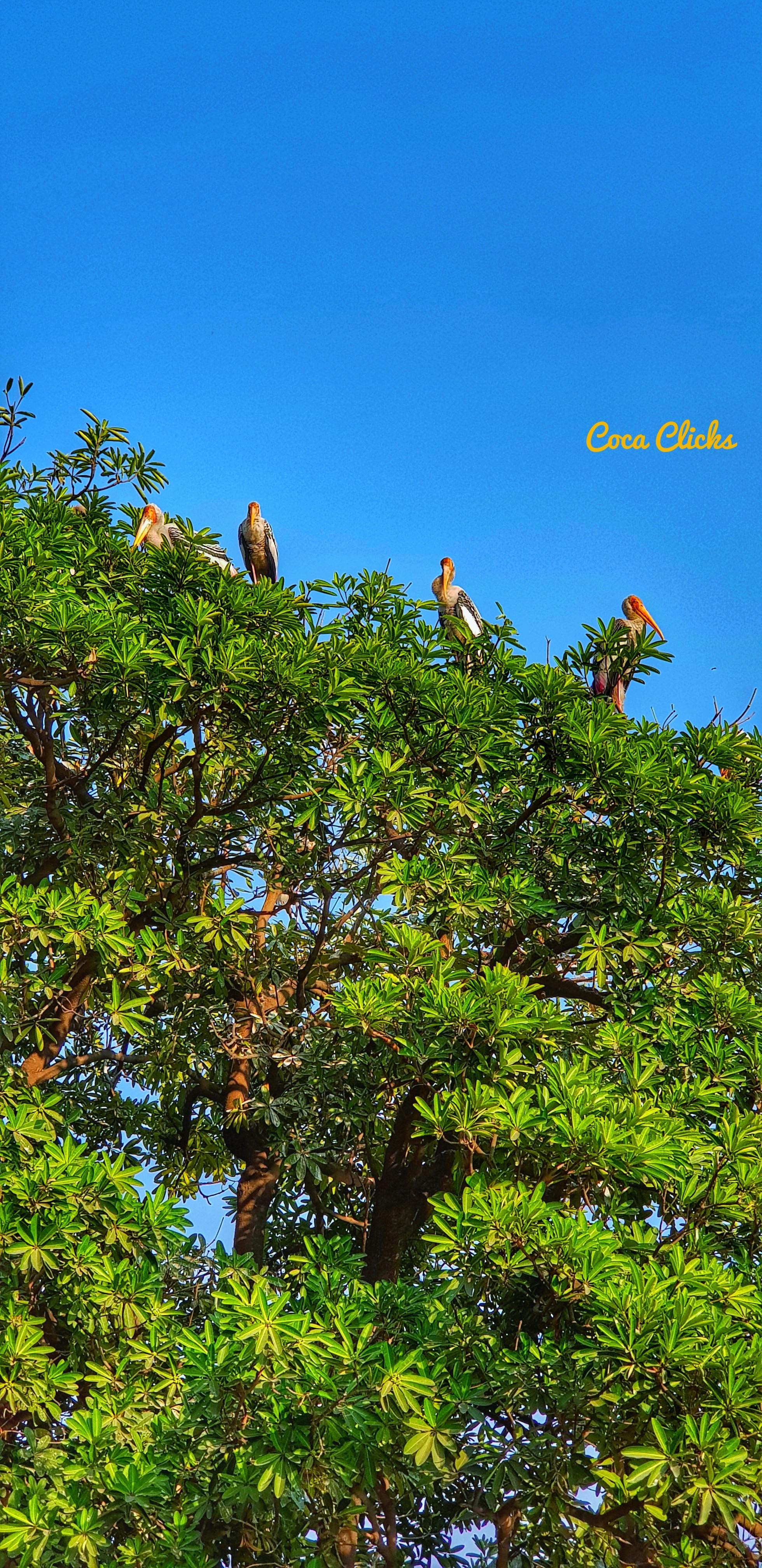 Professional installation of custom furniture and cabinetry